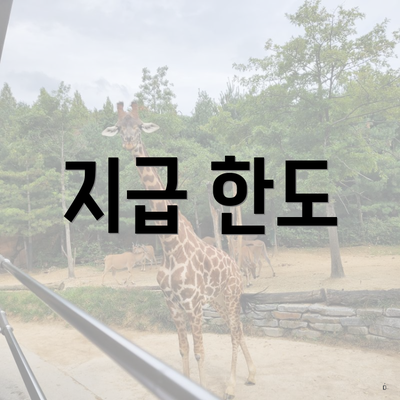 지급 한도