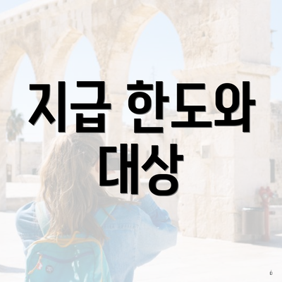 지급 한도와 대상
