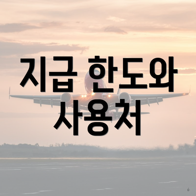 지급 한도와 사용처