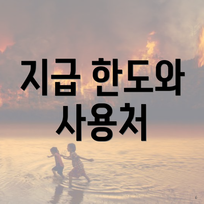 지급 한도와 사용처
