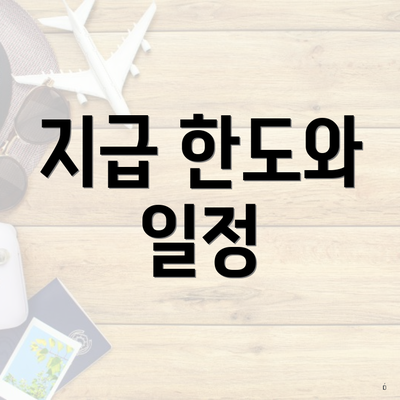 지급 한도와 일정