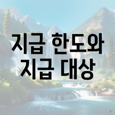 지급 한도와 지급 대상