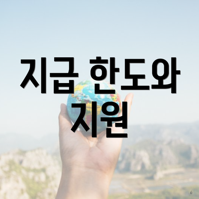 지급 한도와 지원
