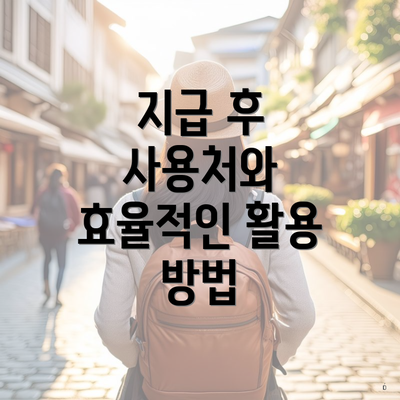 지급 후 사용처와 효율적인 활용 방법