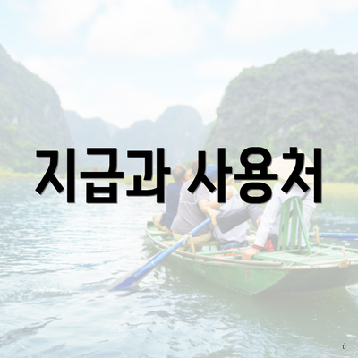 지급과 사용처