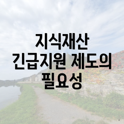 지식재산 긴급지원 제도의 필요성