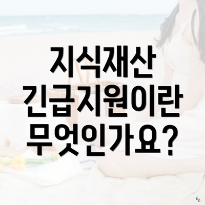지식재산 긴급지원이란 무엇인가요?