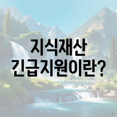 지식재산 긴급지원이란?