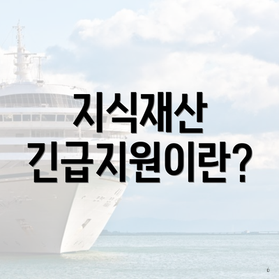 지식재산 긴급지원이란?