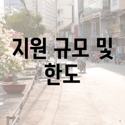 지원 규모 및 한도