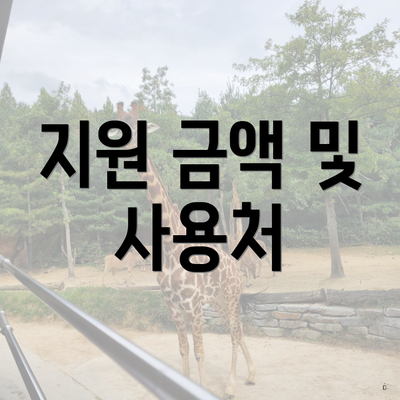 지원 금액 및 사용처
