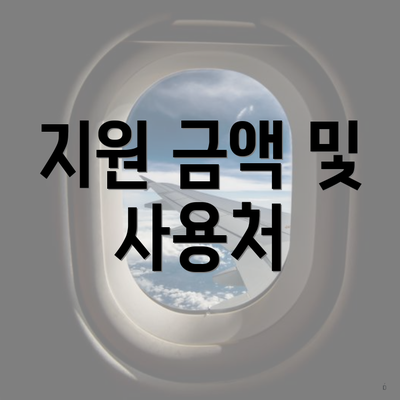 지원 금액 및 사용처