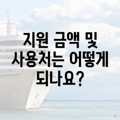지원 금액 및 사용처는 어떻게 되나요?