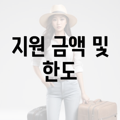 지원 금액 및 한도