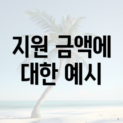 지원 금액에 대한 예시