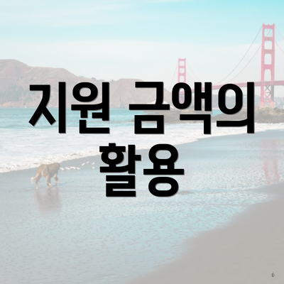 지원 금액의 활용