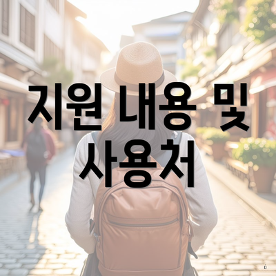 지원 내용 및 사용처