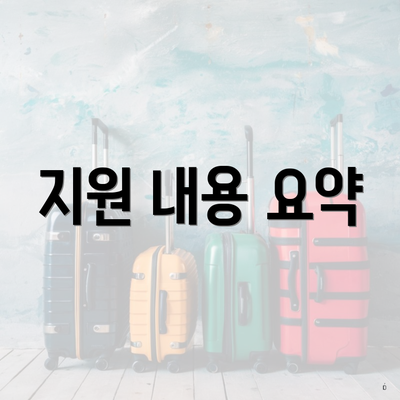 지원 내용 요약