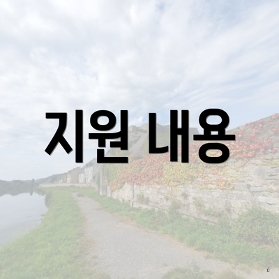 지원 내용