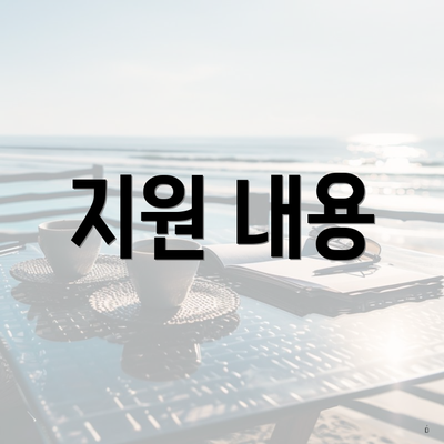 지원 내용