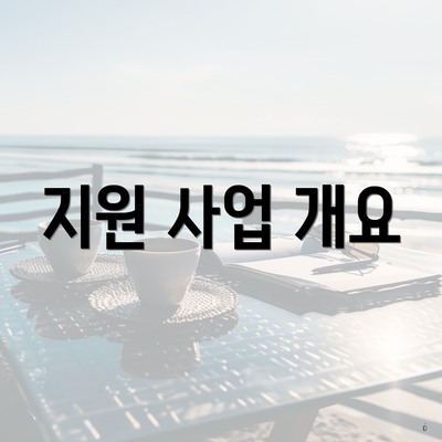 지원 사업 개요