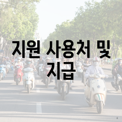 지원 사용처 및 지급