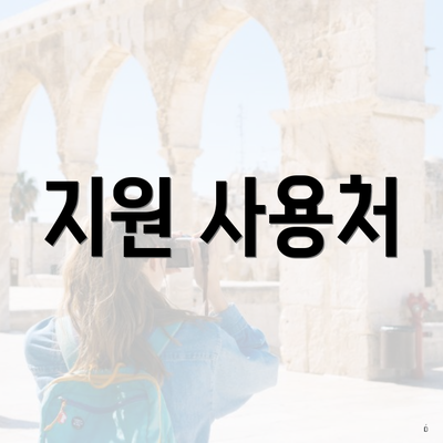 지원 사용처