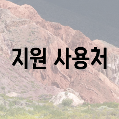 지원 사용처