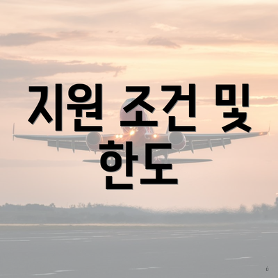 지원 조건 및 한도