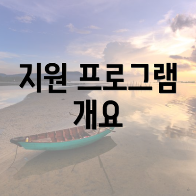 지원 프로그램 개요