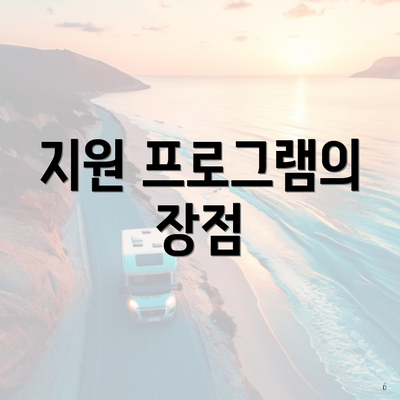 지원 프로그램의 장점