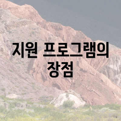 지원 프로그램의 장점