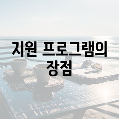 지원 프로그램의 장점