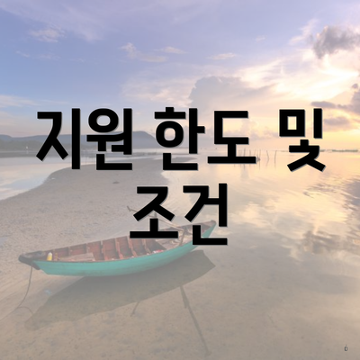 지원 한도 및 조건