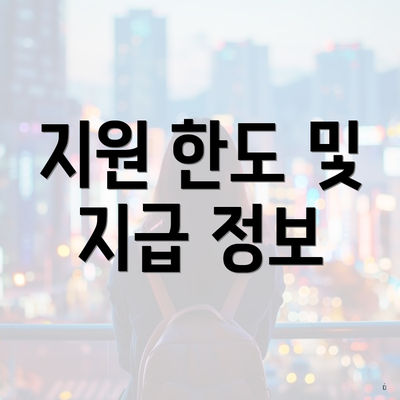 지원 한도 및 지급 정보