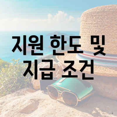 지원 한도 및 지급 조건