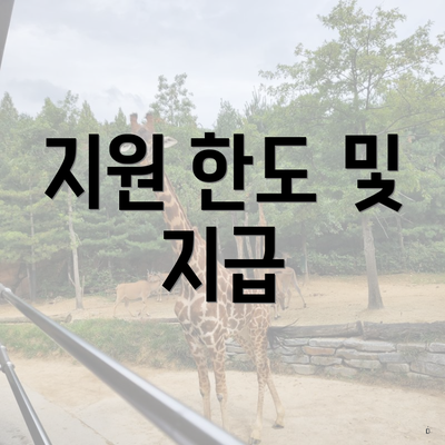 지원 한도 및 지급