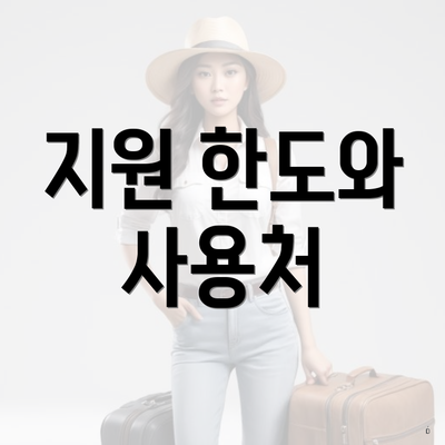 지원 한도와 사용처