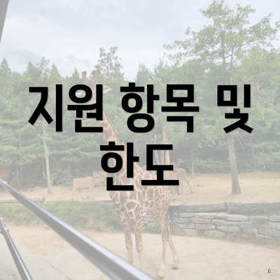 지원 항목 및 한도