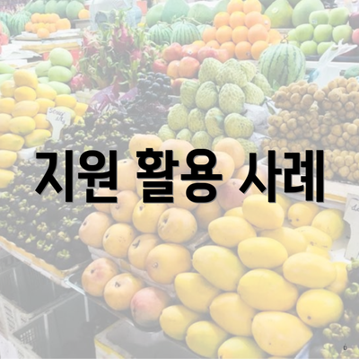지원 활용 사례