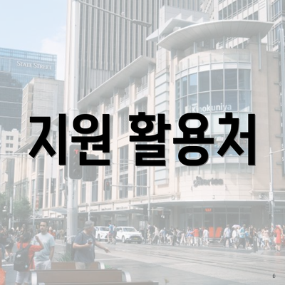 지원 활용처