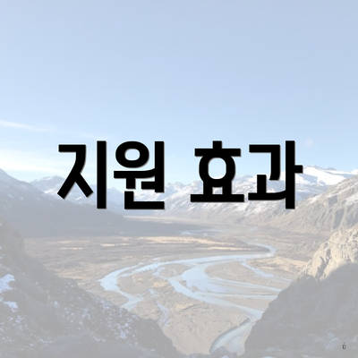 지원 효과