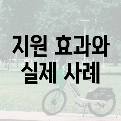 지원 효과와 실제 사례
