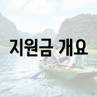 지원금 개요
