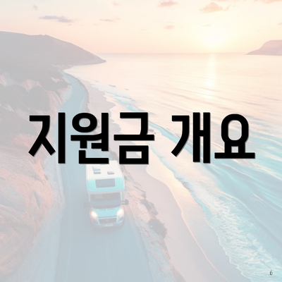 지원금 개요