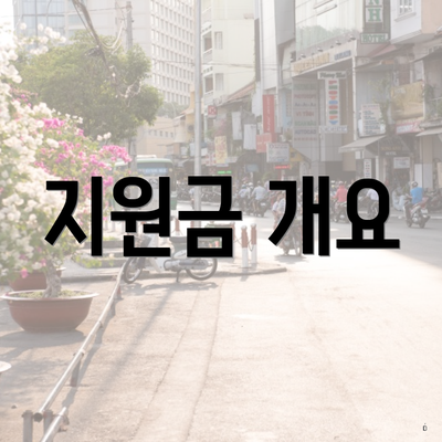 지원금 개요