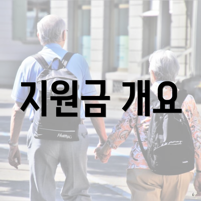 지원금 개요