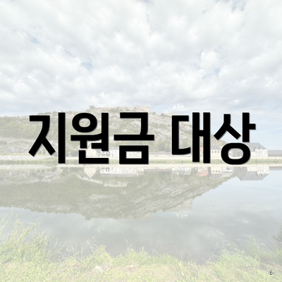지원금 대상