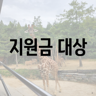 지원금 대상