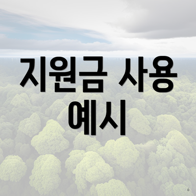 지원금 사용 예시